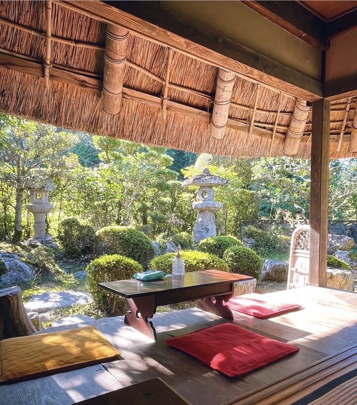 縁側から眺めるお庭